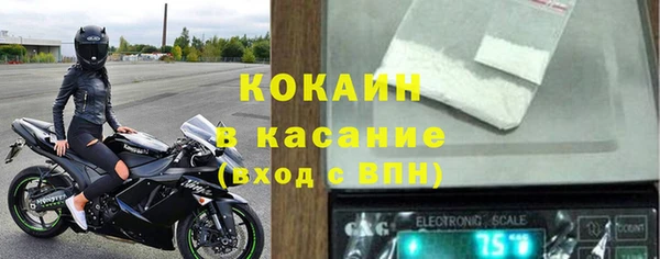 spice Богданович