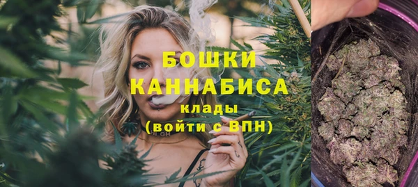 spice Богданович
